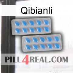 Qibianli 23